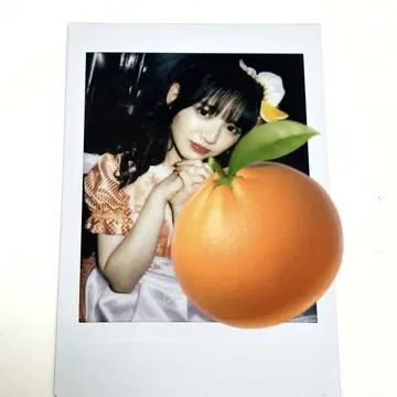 FRUITSZIPPER 진사이 스즈카 폴라로이드