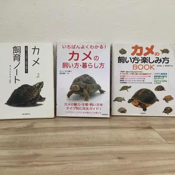 거북이 사육 도서 3권 세트