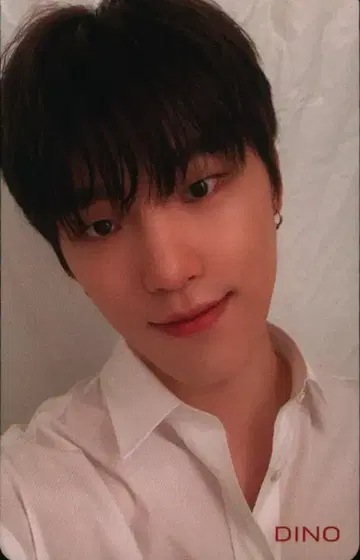 SEVENTEEN 24H DINO 트레이딩 카드
