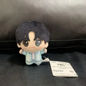 tws SD 인형 HANJIN 한진