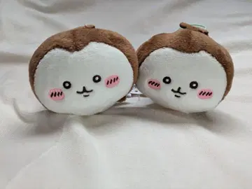 치이카와 네소베리 장수풍뎅이 2개 세트