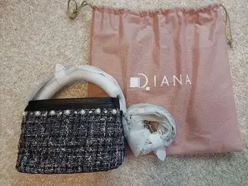 DIANA 백