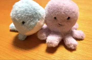 제리 캣 문어, 고래