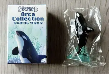 가모가와 씨월드 샤치 컬렉션