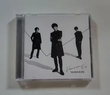 WANDS 버전 5.0 CD