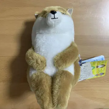 코시카케무라 여우