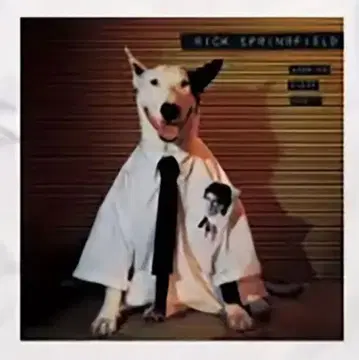 릭 스프링필드 티셔츠 Rick Springfield 레어