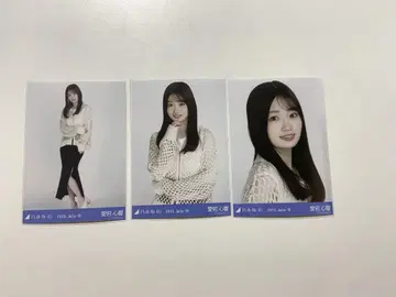 노기자카46 브로마이드 시즈오카 메쉬 니트 아타고 코코로 컴프