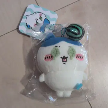 이건 수박 깨기인가요? 마스코트 하치와레