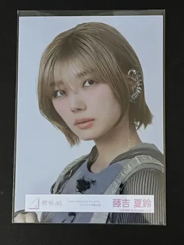후지요시 카린 IWTC 재킷 사진 요리 사쿠라자카46