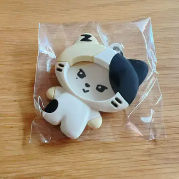 zeroni 랜덤 PVC 사진 홀더 리니니