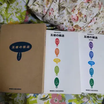 오감의 구조 1992년 박물관 생활 종합 연구소
