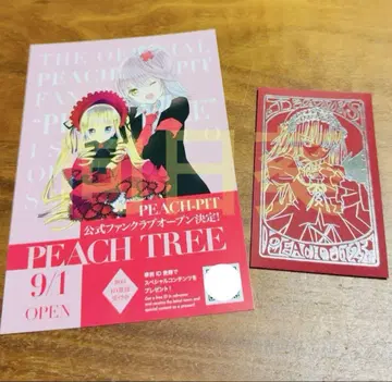 PEACH-PIT 25주년 특별전 입장 혜택 로젠 메이든 수은등