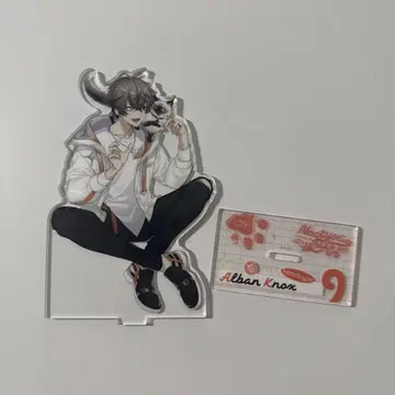 알바른 노크스 노크티스 고양이