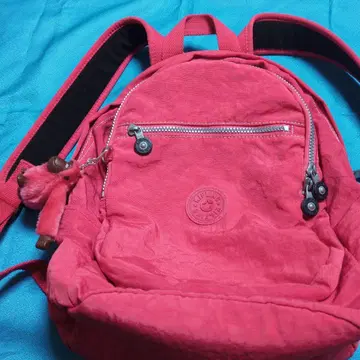 Kipling 핑크 백팩