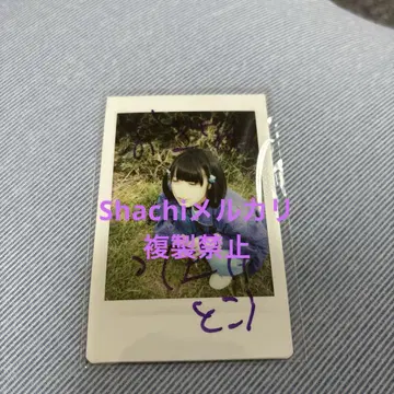 아노짱 폴라로이드