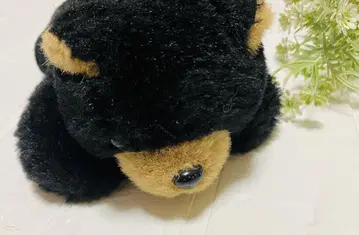 곰 봉제 인형