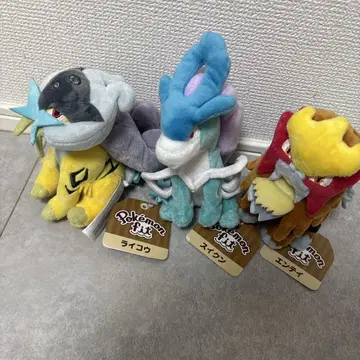 포켓몬 핏