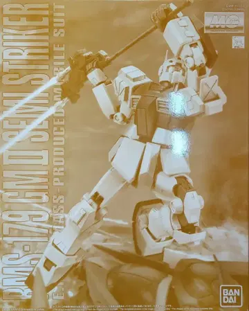 반다이 MG 1/100 기동전사 건담 UC 헬스장 II 세미 스트라이커