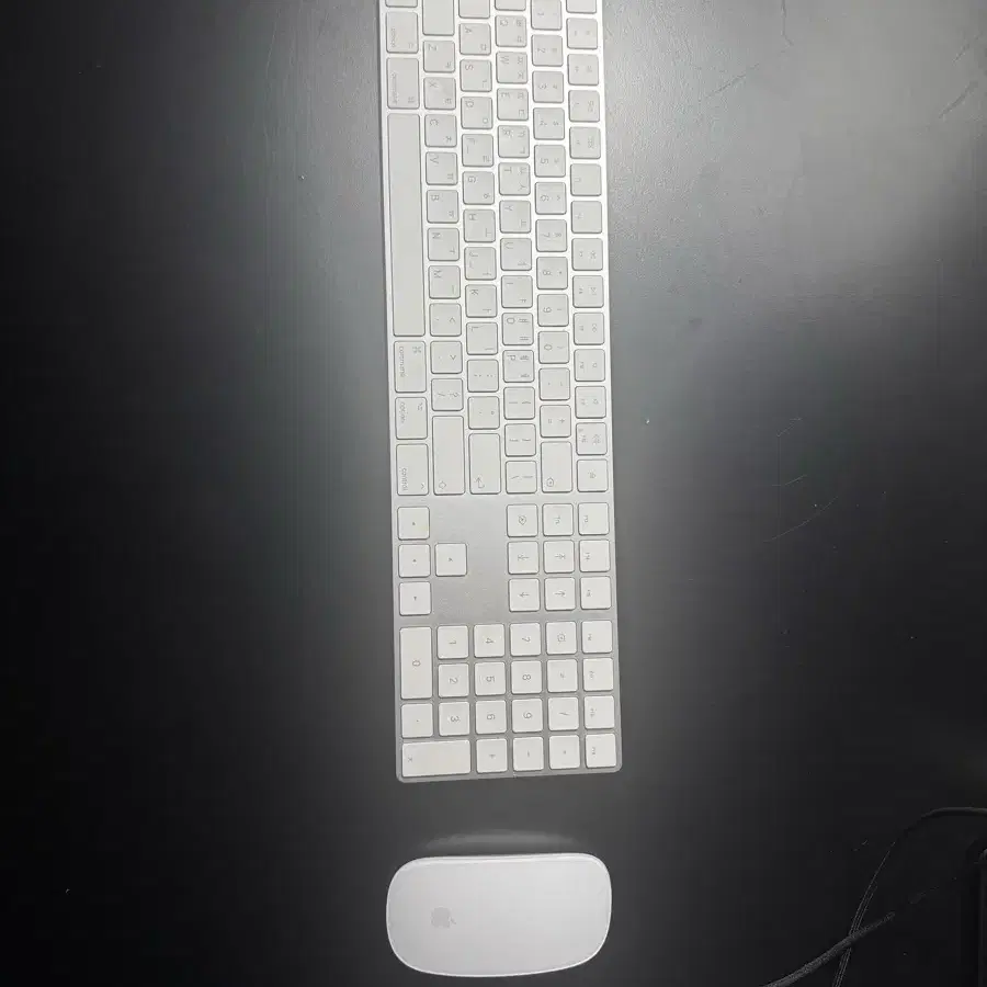 APPLE | 애플 Apple Magic Keyboard and Magic Mouse set on