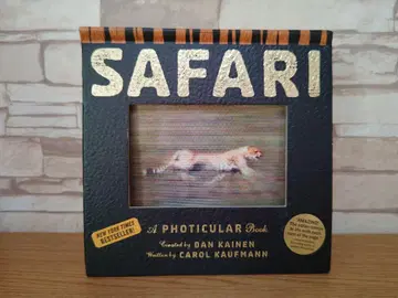 SAFARI 사파리  그림책