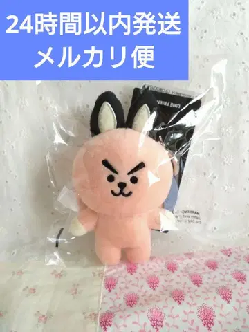 BTS BTS21 IAN COOKY 마스코트 봉제 인형 키링