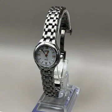 시티즌 EXCEED Eco-Drive 손목시계 실버