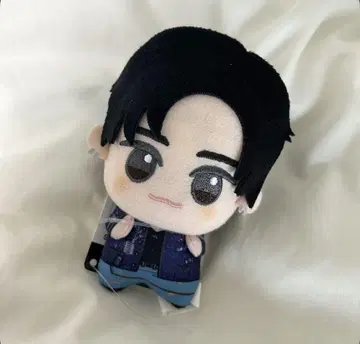 원빈 봉제 인형 SD 인형 riize 트레이딩 카드