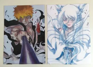 BLEACH 원화전 클리어 파일 묶음 판매 쿠로사키 이치고 후목 루키아