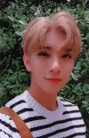 SEVENTEEN The Poet JOSHUA An Ode 브라운