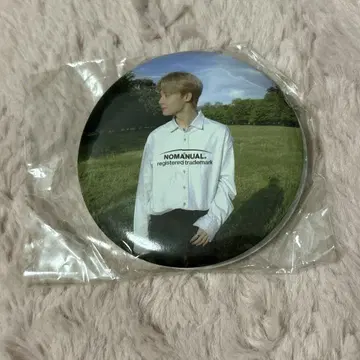 파눈 거울