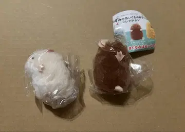 가챠가챠 쥐 봉제 인형 & 의상 컬렉션