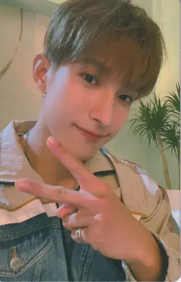 SEVENTEEN CARAT판 DK Attacca 131