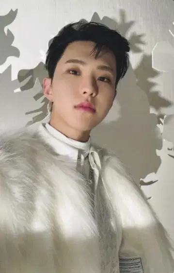 SEVENTEEN 일반ver. HOSHI 아이노치카라