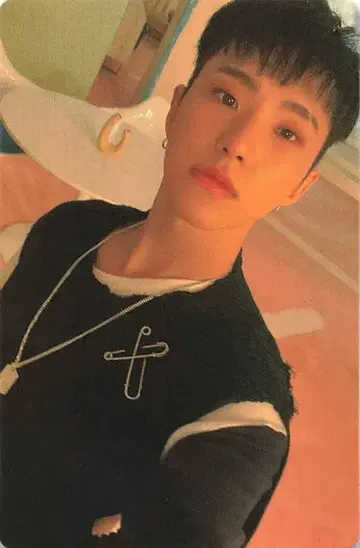 SEVENTEEN CARAT판 HOSHI Attacca 111