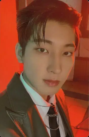 세븐틴 CARAT판 WONWOO Attacca 113