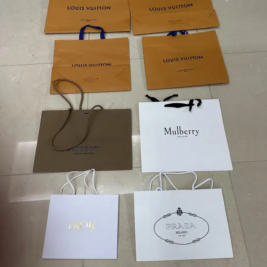 Luxury Shopping Bag and Box (Louis Vuitton Dior Prada) on