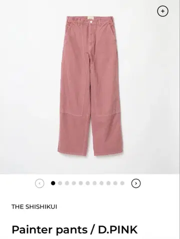 THE SHISHIKUI Painter pants 시시쿠이