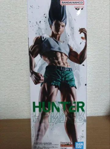 헌터x헌터 곤 피규어