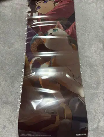 대만 한정판 약사의 혼잣말 고양이 고양이 클리어 포스터
