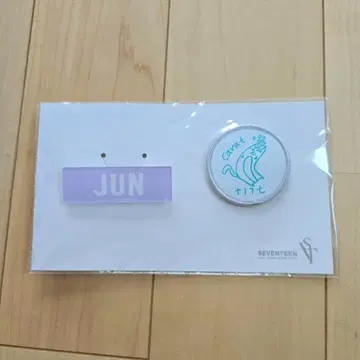 SEVENTEEN 세부치 준 네임&와펜 배지 세트