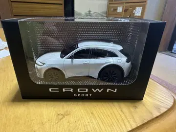 CROWN 스포츠 미니카 화이트
