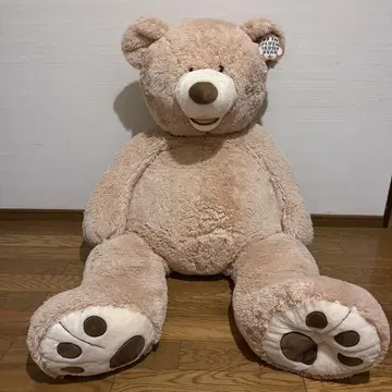 코스트코 곰 테디베어 이케아 상어 봉제 인형