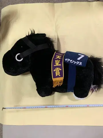 이쿠이노쿠스 봉제 인형