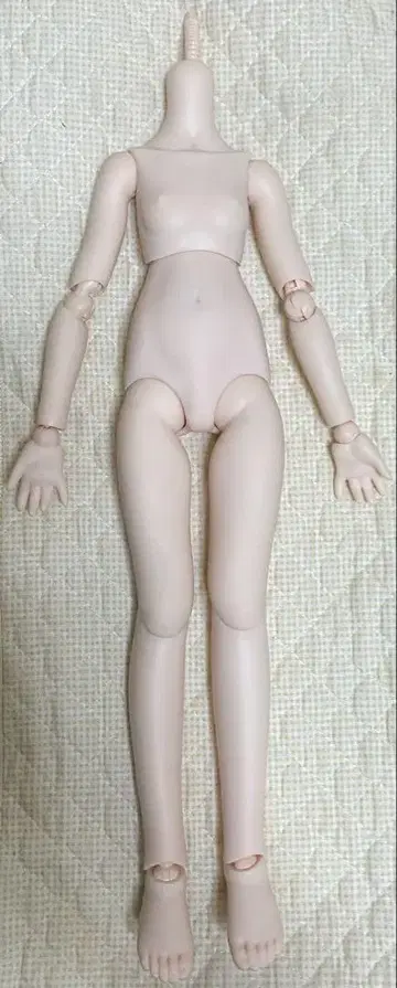 MDDf3 베이스 바디 (세미 화이트)