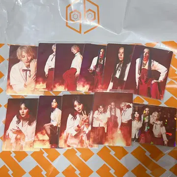 여왕벌 벌 놀이왕 #23 강불 컴플리트 전 11종