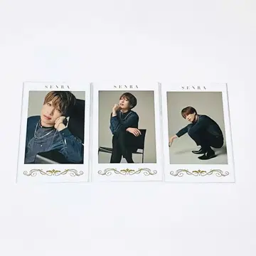우라시마사카타센 센라 MARCEL 미니 포토 카드 폴라로이드 세트