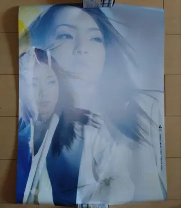 아무로 나미에 genius 포스터 1.