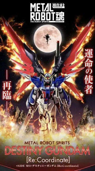 METAL ROBOT 데스티니 건담 Re:Coordinate 2개