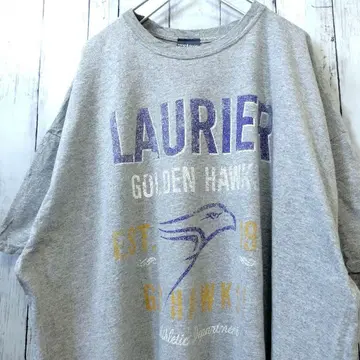 campdavid 칼리지 로고 빅 사이즈 티셔츠 그레이 2XL 구제 의류